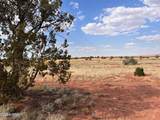 5184 Coyote Trail - Photo 29