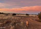 5184 Coyote Trail - Photo 6