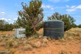 5184 Coyote Trail - Photo 7