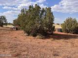 5184 Coyote Trail - Photo 8