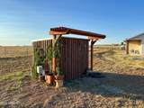 38 Alexander Lane - Photo 49