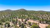 0 Buckhorn Trail - Photo 11