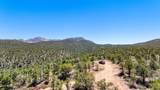 0 Buckhorn Trail - Photo 12