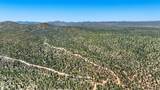 0 Buckhorn Trail - Photo 4