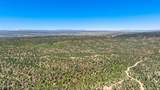 0 Buckhorn Trail - Photo 5