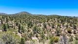 0 Buckhorn Trail - Photo 7