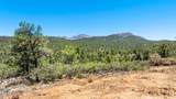 0 Buckhorn Trail - Photo 9