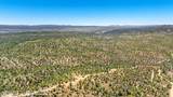 00 Buckhorn Trail - Photo 2