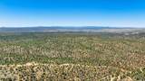 00 Buckhorn Trail - Photo 3
