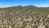 00 Buckhorn Trail - Photo 5