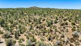 00 Buckhorn Trail - Photo 6