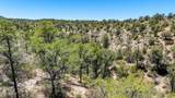 00 Buckhorn Trail - Photo 7