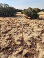 4 parcels Shady Oak 404-69-005 /10+Acres - Photo 10
