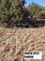 4 parcels Shady Oak 404-69-005 /10+Acres - Photo 16