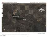 4 parcels Shady Oak 404-69-005 /10+Acres - Photo 5