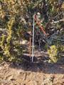 4 parcels Shady Oak 404-69-005 /10+Acres - Photo 14
