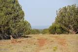 4 parcels Shady Oak 404-69-005 /10+Acres - Photo 2