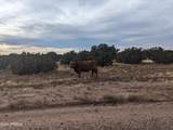 4 parcels Shady Oak 404-69-005 /10+Acres - Photo 21