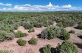 4 parcels Shady Oak 404-69-005 /10+Acres - Photo 27