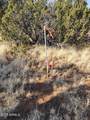 4 parcels Shady Oak 404-69-005 /10+Acres - Photo 8
