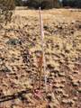 4 parcels Shady Oak 404-69-005 /10+Acres - Photo 11