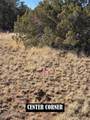 4 parcels Shady Oak 404-69-005 /10+Acres - Photo 12