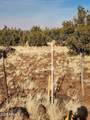4 parcels Shady Oak 404-69-005 /10+Acres - Photo 13