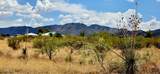 Lot 20 Willcox Road - Photo 2