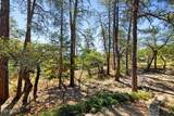 1167 Eagles Nest - Photo 54