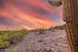 9160 Superstition Mountain Drive - Photo 13