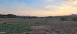 -001D Blue Bell Road - Photo 4