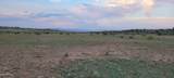 -001D Blue Bell Road - Photo 6