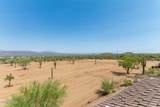 16912 Desert Vista Trail - Photo 45