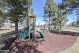 2361 Quarter Horse Trail - Photo 17