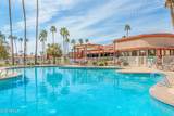 10414 San Tan Boulevard - Photo 50