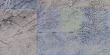 TBD 40 Acres (Lot 98) Carrizo - Photo 1