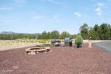 42897 Pickett Corral Road - Photo 13