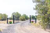 42897 Pickett Corral Road - Photo 2