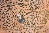 42897 Pickett Corral Road - Photo 40