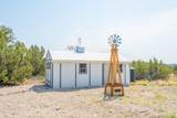 42897 Pickett Corral Road - Photo 8
