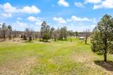 931 Woodland Lake Road - Photo 6