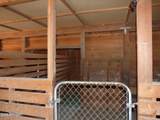 41451 Hwy 180 - Photo 49