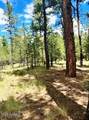 5131 Forest Service Road 137A Road - Photo 10