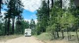 5131 Forest Service Road 137A Road - Photo 13