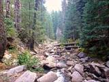 5131 Forest Service Road 137A Road - Photo 15