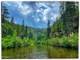 5131 Forest Service Road 137A Road - Photo 17