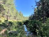 5131 Forest Service Road 137A Road - Photo 19
