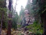 5131 Forest Service Road 137A Road - Photo 21