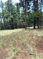 5131 Forest Service Road 137A Road - Photo 5