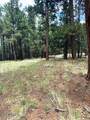 5131 Forest Service Road 137A Road - Photo 6